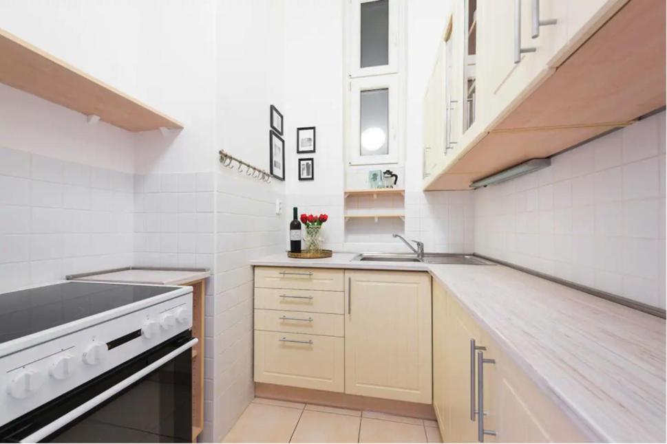 Apts In Old Town Prague By Michal&Friends 外观 照片